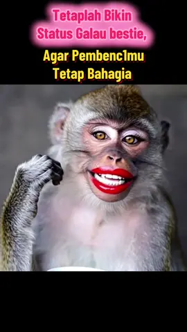 Ikutin arusnya #contentcreator #creatorsearchinsight #soundviral #monyet #fypage 