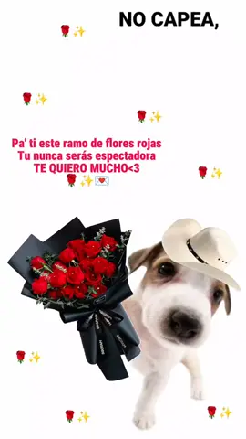 #6dediciembre #diaderegalarfloresrojas #foryoupage #fyp #frases_ymdz 