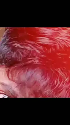 #🚶‍♂️অবুঝ_বালক☺😜 