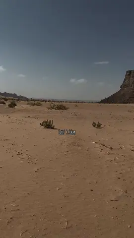 من دمع عيني يشرب الرمل ويسيل.💔 #قصايد_شعر_خواطر #اكسبلور_تيك_توك #مشاهير_تيك_توك #الشعب_الصيني_ماله_حل😂😂 #fyp 