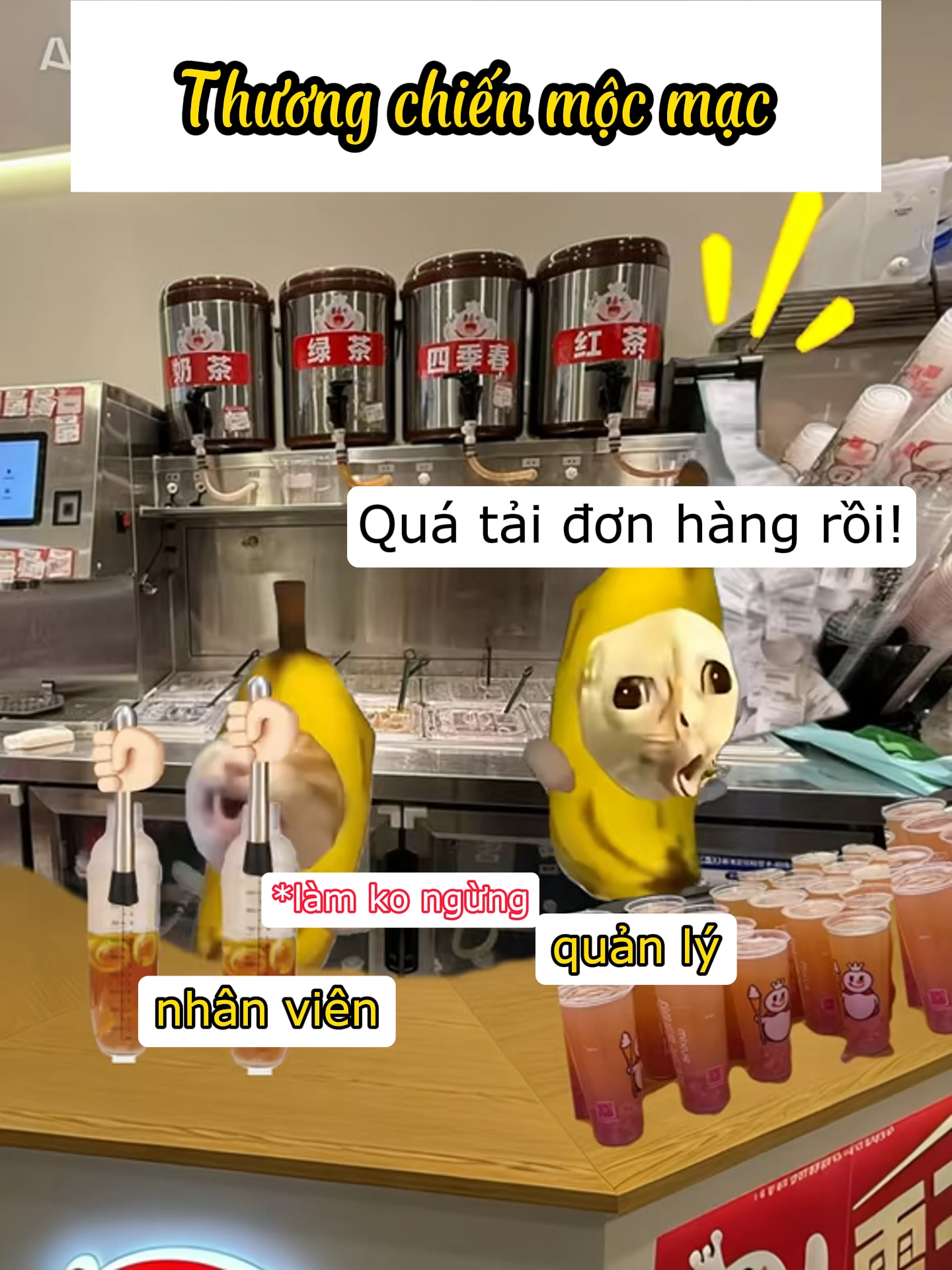 Mèo ✌️ #meme #haihuoc #meow