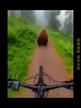 @cái mew gì vậy? 