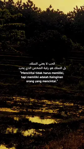 #quotesislami🥀🖤✨💫 #laguviral #arabicsong #langitaesthetic #fypシ゚viral🖤tiktok 