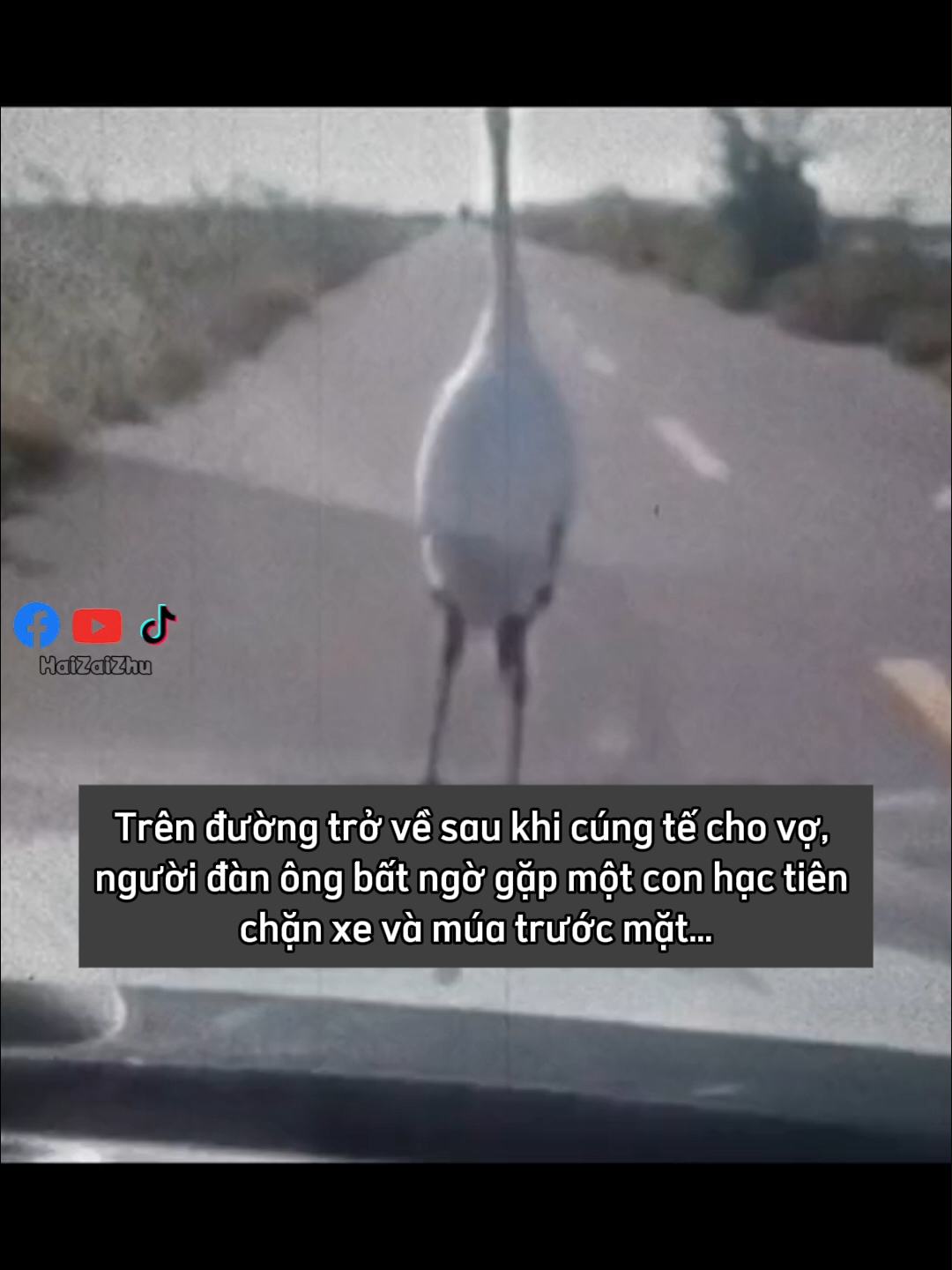 Nếu khoa học không thể giải thích, vậy hãy để tình yêu trả lời. #haizaizhumedia #khoanhkhac #haizaizhu #nhanvan #cauchuyen #ynghia