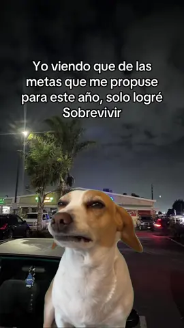 #Meme #MemeCut#graciosostiktok 