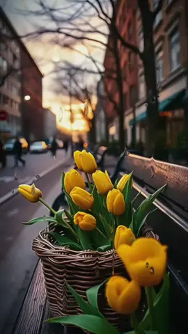 #صباح_الورد_و_السعادة_لاجمل_قلوب🌹🦋 