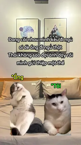 Có mom nào ở đây giống tui không zậy ạ ? #memes #couple #cat #relatable #fyb 