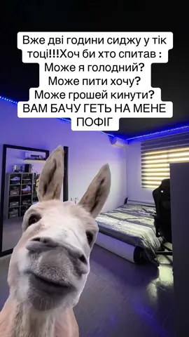 #рекомендации #лайк #комент #топ #подпишись 