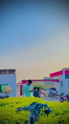 ##mansoorjampuri #foryoupage❤️❤️ #growmyaccoumt #growmyaccoumt #viral @شاہزیب برمانڑی 🎭 @ShakeelKhan @شکرا بلوچ ✌ @❌𓂀 ان پڑھ 𓂀❌ @🥷 ╾━╤デ╦︻  ویر عباس @🧷نواب جامپوری🔥🔥 @@❤️‍🩹👑ᡕᠵデ气亠 مزمل بھیااا @تنصیر برمانڑی @چھوٹا جامپوری 💟 @پہلا جوگیانی 1 