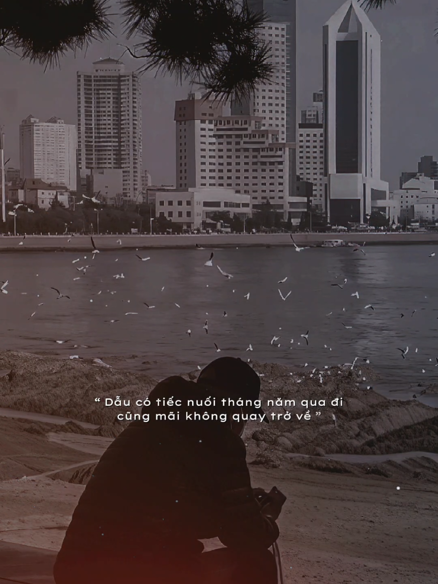 Dẫu có tiếc nuối tháng năm qua đi cũng mãi không quay trở về #trambuon12 #nghelasuy12 #tamtrang 
