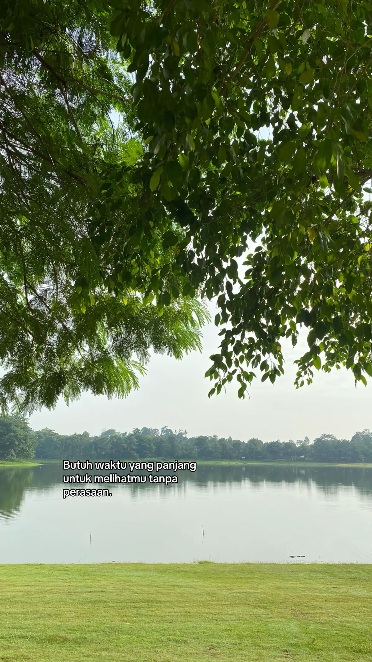 Resep telur ceplok Bahan 	•	1–2 butir telur 	•	1–2 sdm minyak goreng / margarin 	•	Garam secukupnya (opsional) 	•	Lada secukupnya (opsional) ⸻ Cara Membuat 1.	Panaskan wajan Nyalakan api kecil–sedang, beri sedikit minyak atau margarin. 2.	Pecahkan telur Setelah minyak panas, pecahkan telur perlahan ke dalam wajan. Tips: Pecah di mangkuk dulu supaya kuning telurnya tidak rusak. 3.	Masak sampai putih telur mengeras Biarkan putih telur berubah warna menjadi putih dan bagian pinggir sedikit kecokelatan. 4.	Bumbui Tambahkan sedikit garam dan lada di atas telur. 5.	Sesuaikan tingkat kematangan 	•	Setengah matang: masak ±1–2 menit, kuning masih cair. 	•	Matang: masak ±3–4 menit sampai kuning agak mengeras. 6.	Angkat dan sajikan Gunakan spatula agar bentuk tetap rapi. ⸻ Tips Tambahan 	•	Jika mau kuning tetap bulat, kecilkan api. 	•	Kalau ingin bagian pinggir agak crispy, tambahkan sedikit minyak. 	•	Bisa diberi kecap, sambal, atau saus sesuai selera. #moveon #lifeafterbreakup #fyp #reseptiktok #lewatberanda 