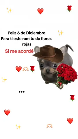 #floresrojas #parati #foryoupage #frases_tania #Viral @TikTok ✌🏻👍🏻🫶🏻✌🏻✨❤️