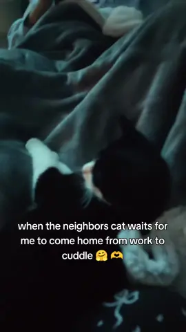 should I just keep him? 😉 #tiktok #boymom💙 #littlebuddy #cuddles #fypシ 