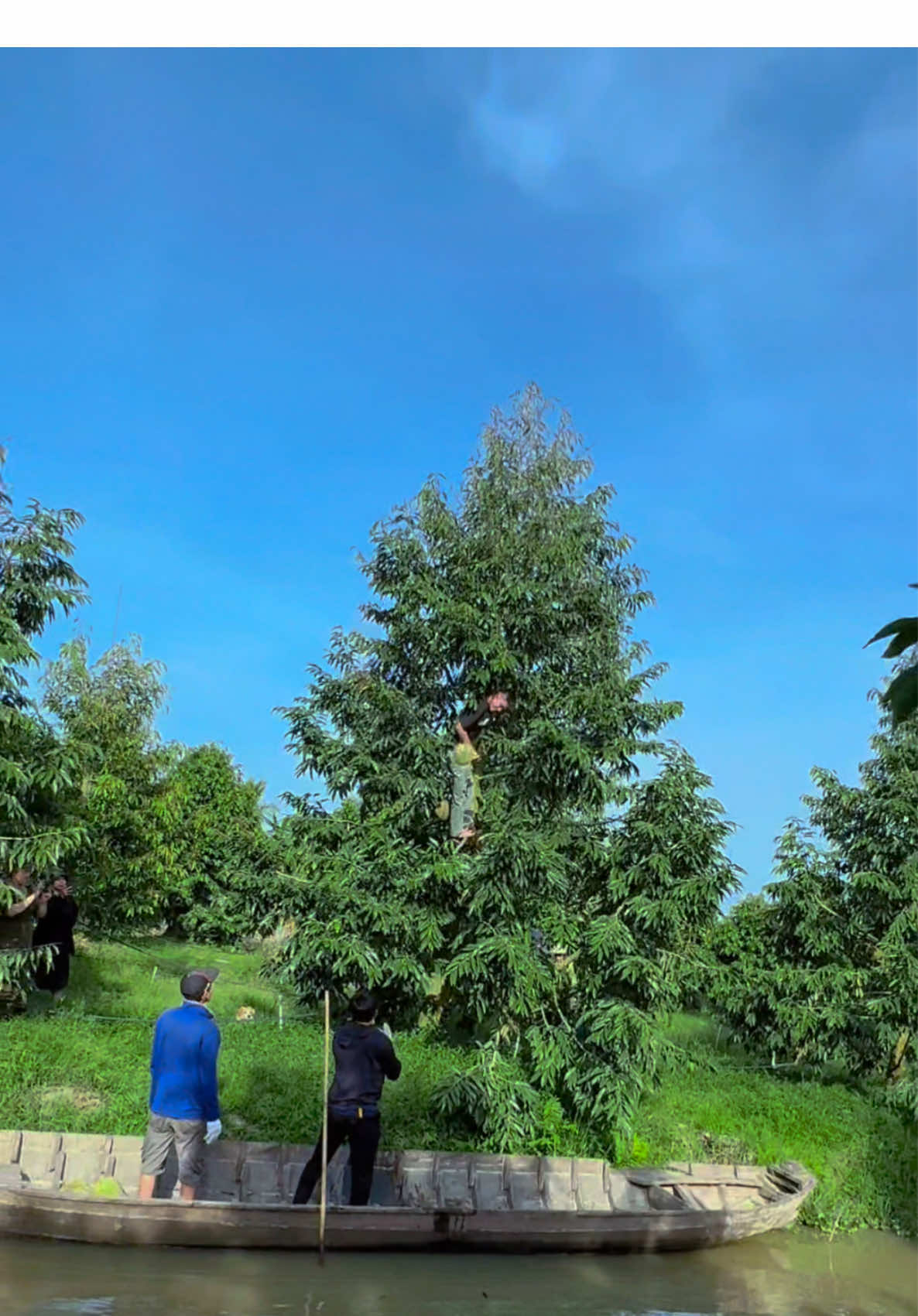 Kể ra đi ghe cũng nhàn 🥰#sauriengmientay #sauriengdaklak #saurieng #xuhuong 