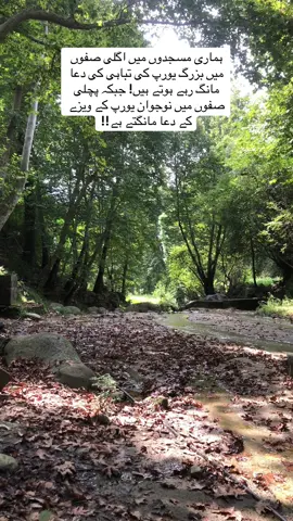 ہماری مسجدوں میں اگلی صفوں میں بزرگ یورپ کی تباہی کی دعا مانگ رہے ہوتے ہیں! جبکہ پچلی صفوں میں نوجوان یورپ کے ویزے کے دعا مانگتے ہے!!#foryou #viral #100k #repost #پشتون_تاجیک_هزاره_ازبک_زنده_باد🇦🇫 