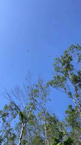 Đến bãi  xong e về luôn. Ae chắc cũng hiểu nhỉ#xuhuongtiktok 