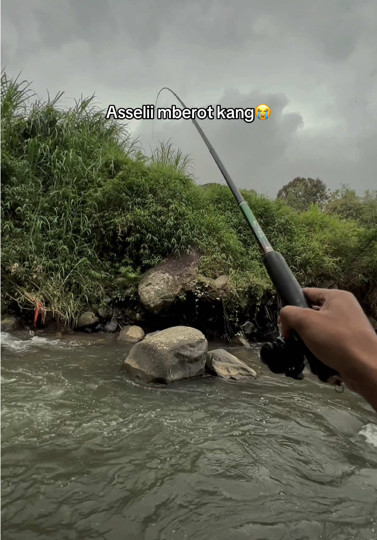 Ndak mampu tenan kang..  #microfishing #mancingmania #mancing #tegekmurah #fyp 