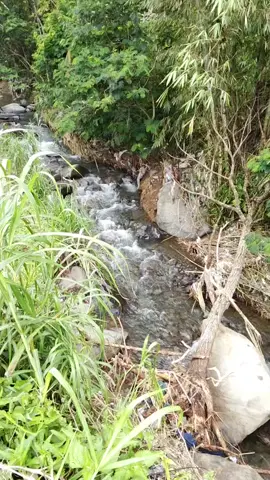 #air sungai hilang entah kemana
