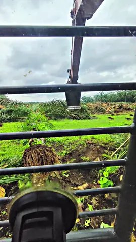 #operator_excavator #cipingsawit🌴 #👷 