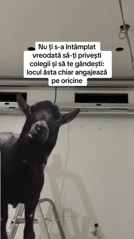 In fiecare zi ma intreb#CapCut #capra #romania🇹🇩 #Meme #fyp 