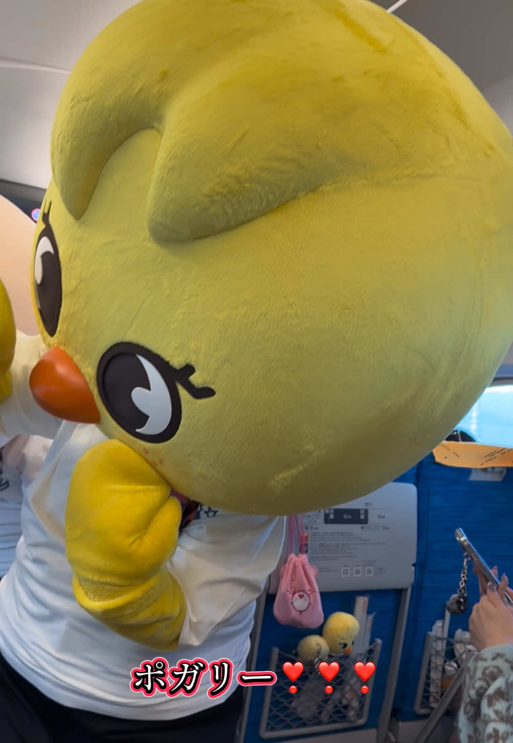 はちゃめちゃ可愛い！！！ JR東海　Stray Kids Special Express！　 特典も最高！　 ZOOのみんなの愛嬌も最高！！ 俺のじゃがりこが…  ジニレットなら本望よ！！　 Bbokari可愛かったなー！！　 #StrayKids  #skz  #skzoo #Felix  #bbokari  @🐥パピコ🐥 