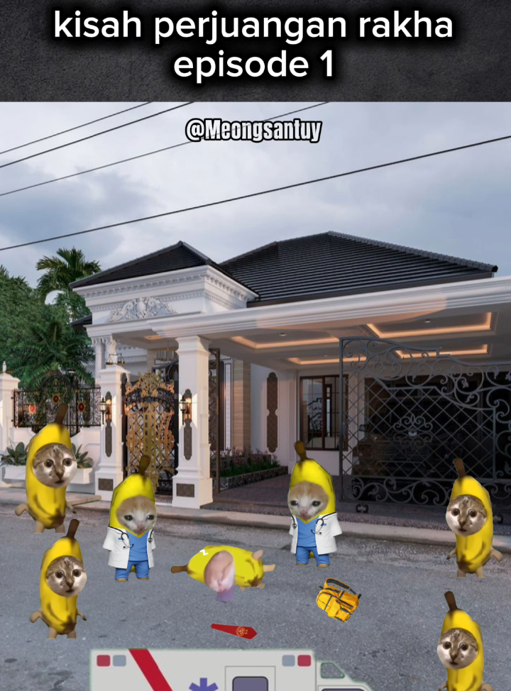 cerita si rakha episode 1 #memekucing #fyp #catmemes #rakha 