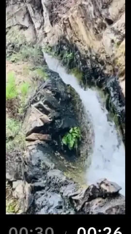 الحياة لا تقف عند أحد ✨🤍