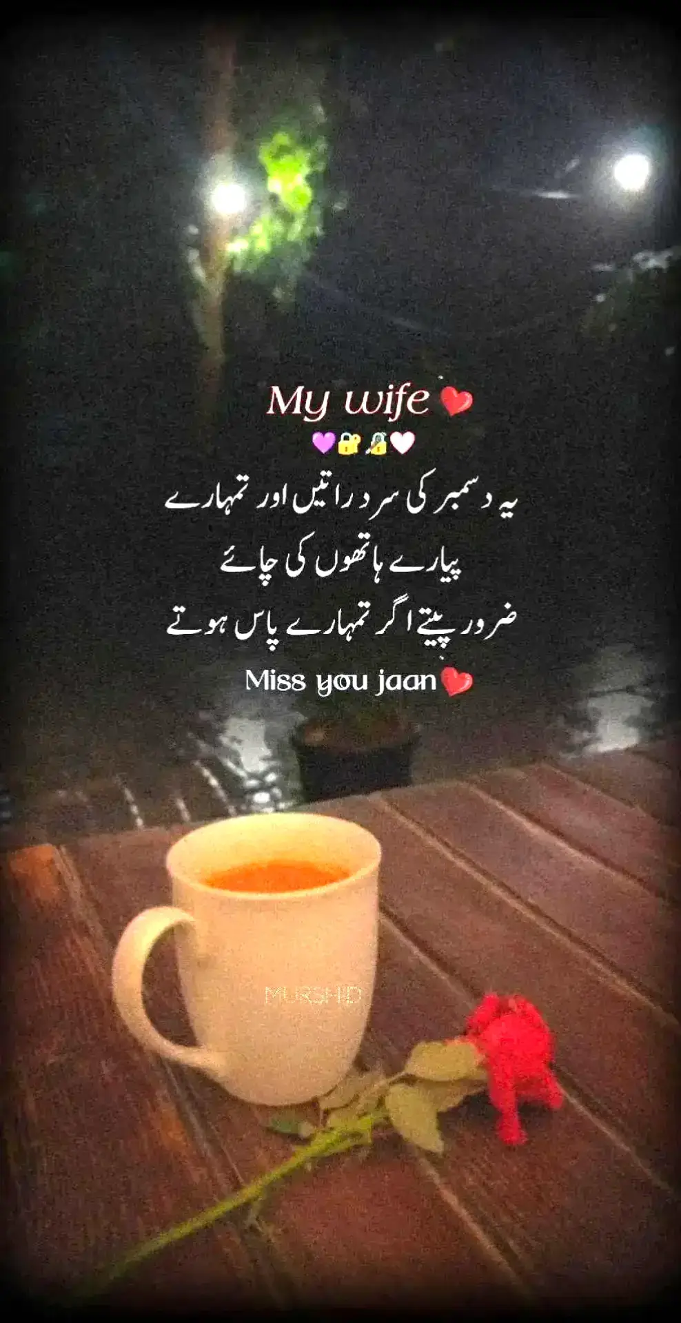 #lovemywife #wifelove #viral #viral #2million #trending #poetrystatus #میرے_الفاظ #50