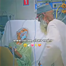 Mention your favorite person > 🥺🫶 🕊✨ #🌺🥰foryoy #foryoupage #ফরইউতে_দেখতে_চাই💝🥰 