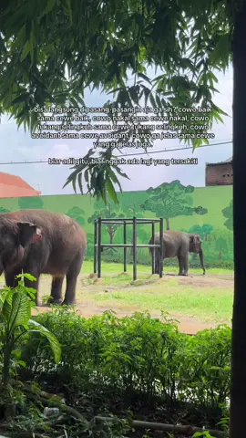 Di dunia yang gak adil ini, makanya Allah ciptain akhirat.  #staystrong #MentalHealth 