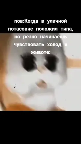 ТГК в профиле #эдит #конец #нож #главныйповпискам #шок 