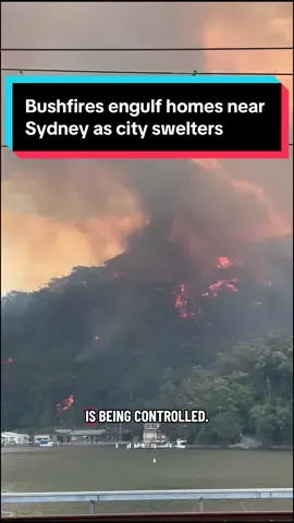 Homes have been lost in an out of control bushfire raging at Koolewong, on the Central Coast just north of Sydney, with residents remaining in the vicinity urged to flee. #koolewong #centralcoast #sydneynews #bushfire 