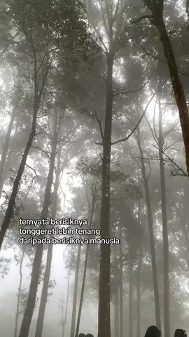 Kabut khayangan🍃 #gunungkhayangancipamingkis #vibeskabut #mountain #masukberanda #fyp 