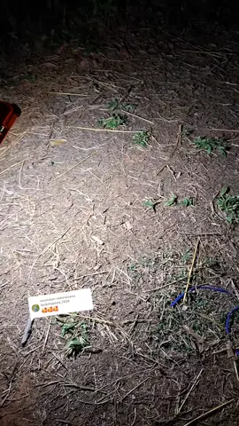 ตอบกลับ @kodchapond_7824 #ไฟสปอร์ตไลท์ #ไฟโซล่าเซลล์ #ไฟฉุกเฉิน #คาวีรีวิว #ไฟฉาย 