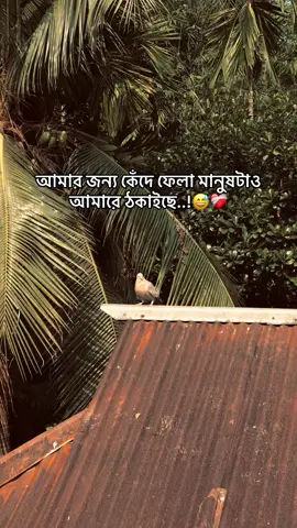 আমার জন্য কেঁদে ফেলা মানুষটাও আমারে ঠকাইছে..!😅❤️‍🩹 #foryou  #the_spydoo 