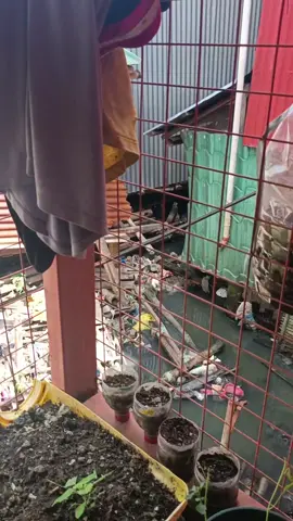 1st name that comes to your mind?? Comment nyu nga 😁😅  #engagementisthekey #follower #viral #fyp #fyppppppppppppppppppppppp 