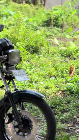 Standart pak guru mawon seng penting nyaman di tumpak i#rxking #rxkingnusantara #fypシ #trendingvideo 