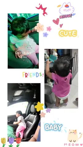 3 Pink 🩷 Roses 🌹🌹🌹