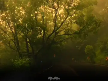 I love you so🙂#mmsub #myanmar #fyp #foryoupage #2025 