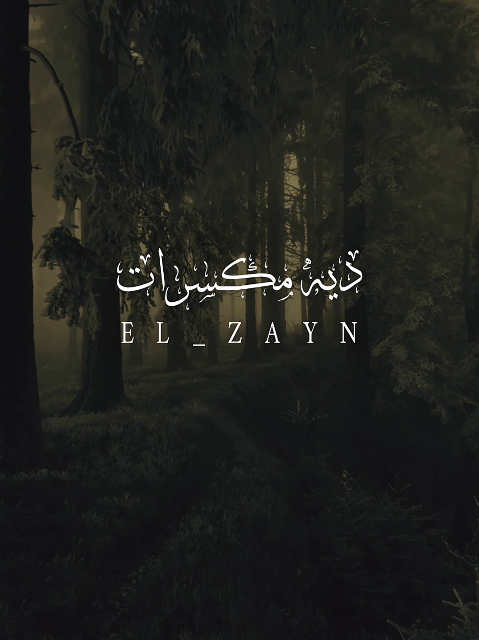 ديه البونبونايه ديه مكسرات ✨️ ❤️  #ال_زين🖤  #foryou  #fyp  #fypシ  #ديه_البونبونايه_ديه_مكسرات💕 