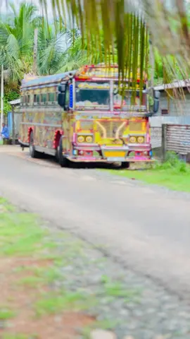 😍❤️#flypシ #viral #onemillionaudition #chamathkari_gold_queen #චමත්කාරි_gold_queen 