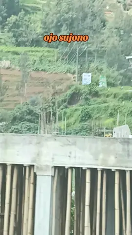 #creatorsearchinsights # #ojosujono # #selaluorapercoyo 