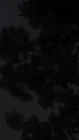 batu like mas#fyppppppppppppppppppppppp #cinta 