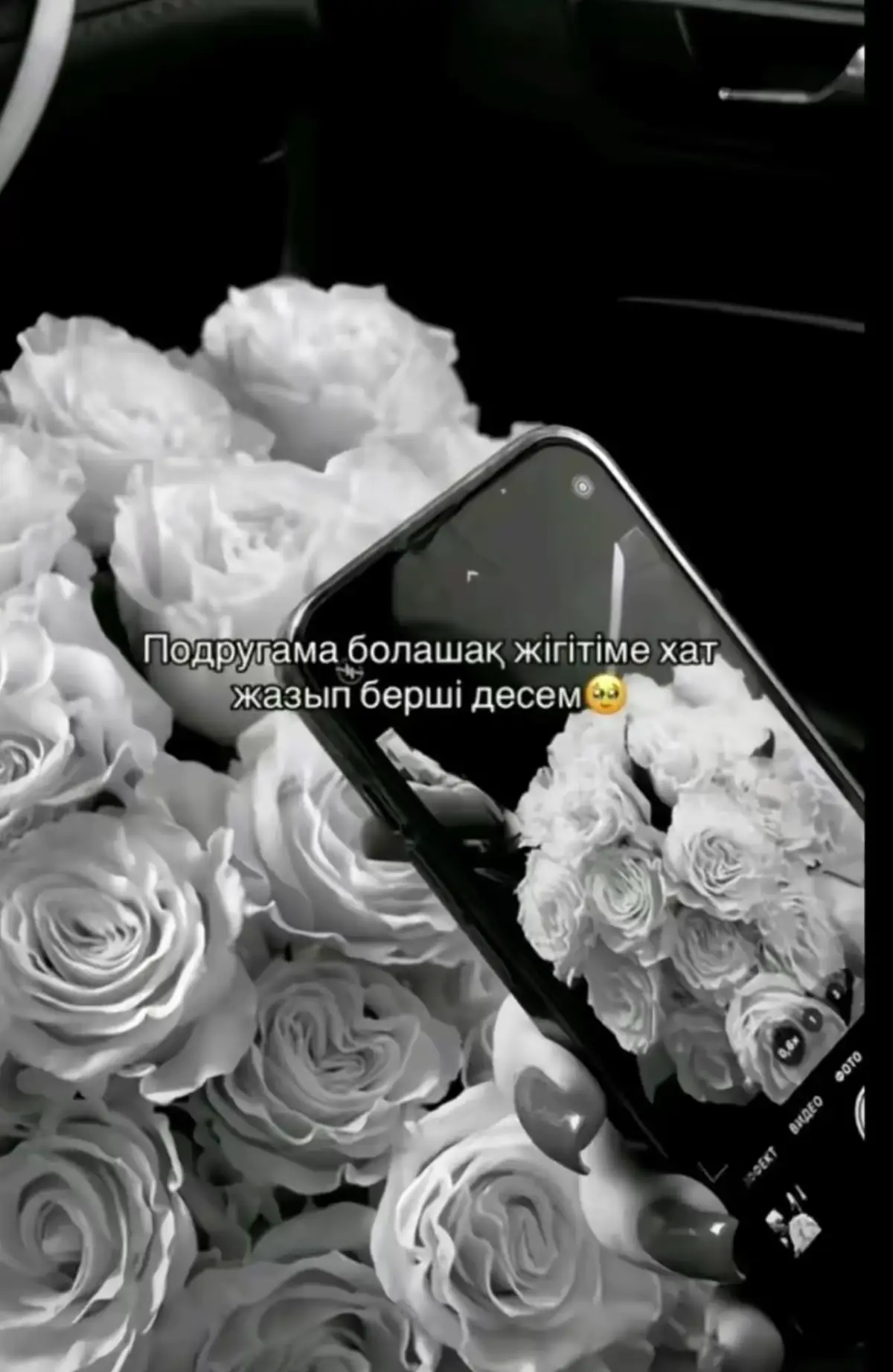 #рекомендации #рекк 