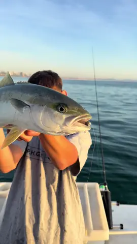 Kings this morning was hella fun 🔥👑 #fishing #fishtok #fyp #foryou #trending @Jaxon west @byron @Harry.Roberts26 @BG bayfishing @RA_fisho 