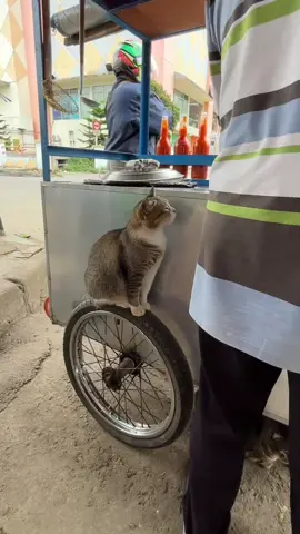 penglaris nya si mang 🤏😖#fyp 