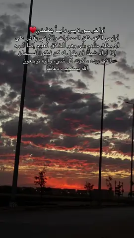 #قران_كريم #يس ##سبحان_الله_وبحمده_سبحان_الله_العظيم 