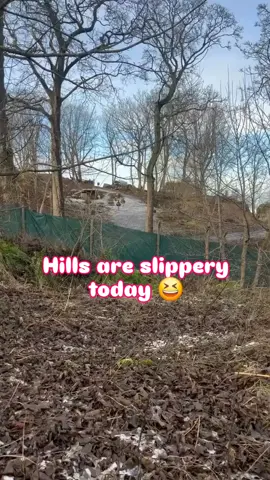 😂🤣😂🤣👌👌 #whoops #slippery #zoolife #emus #slipping 