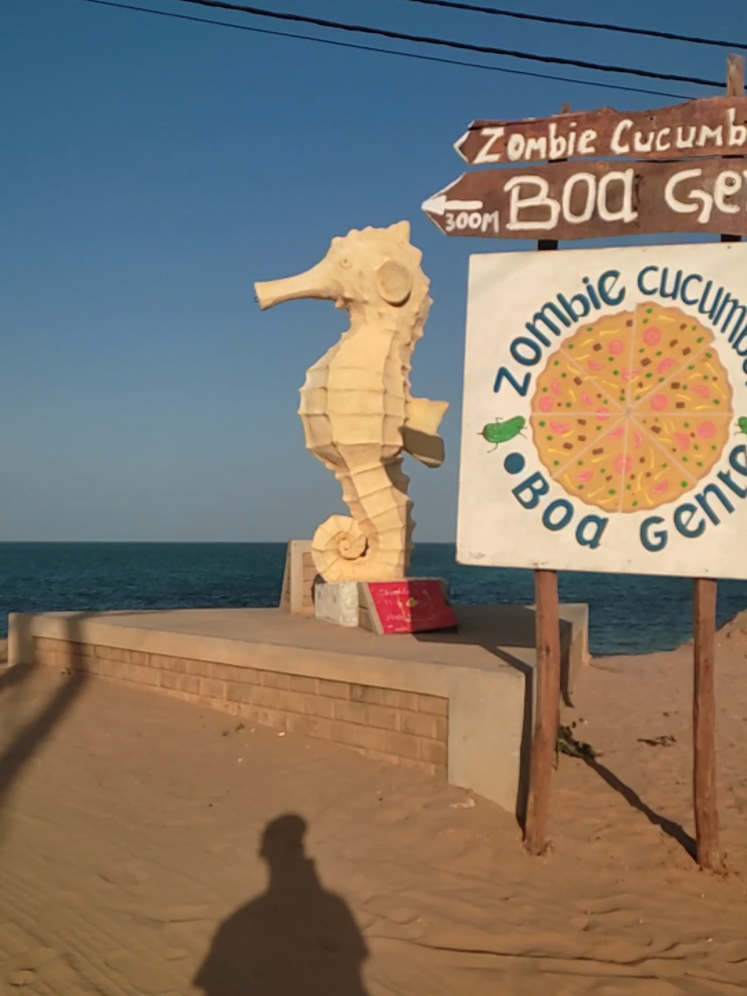 Praia de Vilankulo - Inhambane Uma maravilha do nosso belo Mocambique, um  lugar paradisiaco. #inhambane #mozambique🇲🇿