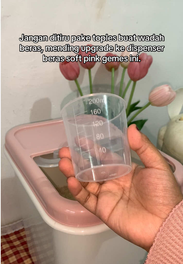 Upgrade dispenser beras yang warnanya cantik-cantik di keranjang. #dispenserberas #tempatberas #dispenserberasaesthetic #dispenserberas10kg #wadahberas 